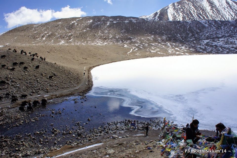 Photo of Sikkim- Greens, White & Gravel Beauty 28/70 by Preeti