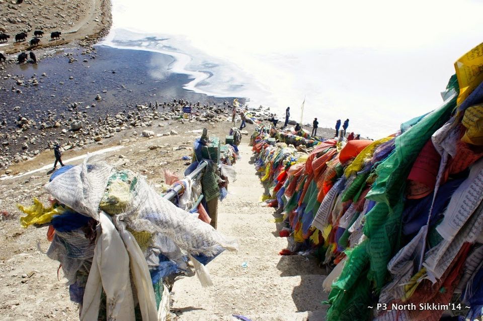 Photo of Sikkim- Greens, White & Gravel Beauty 30/70 by Preeti