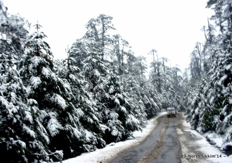 Photo of Sikkim- Greens, White & Gravel Beauty 43/70 by Preeti