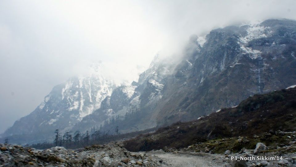 Photo of Sikkim- Greens, White & Gravel Beauty 45/70 by Preeti