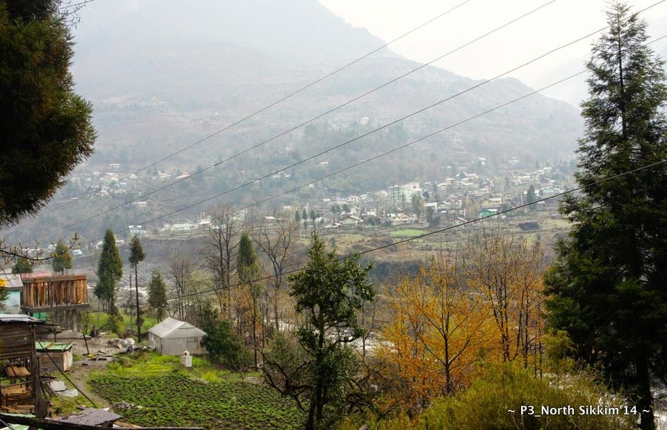 Photo of Sikkim- Greens, White & Gravel Beauty 52/70 by Preeti