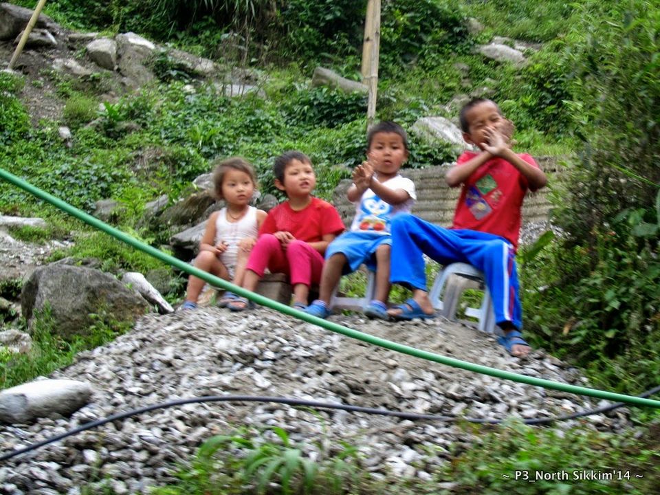 Photo of Sikkim- Greens, White & Gravel Beauty 57/70 by Preeti