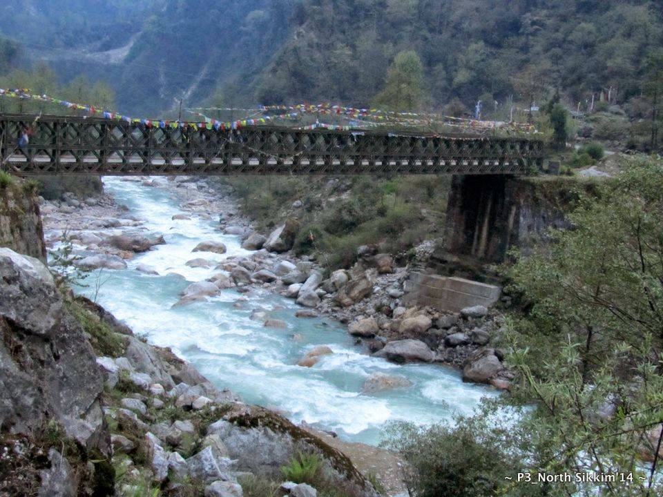 Photo of Sikkim- Greens, White & Gravel Beauty 60/70 by Preeti
