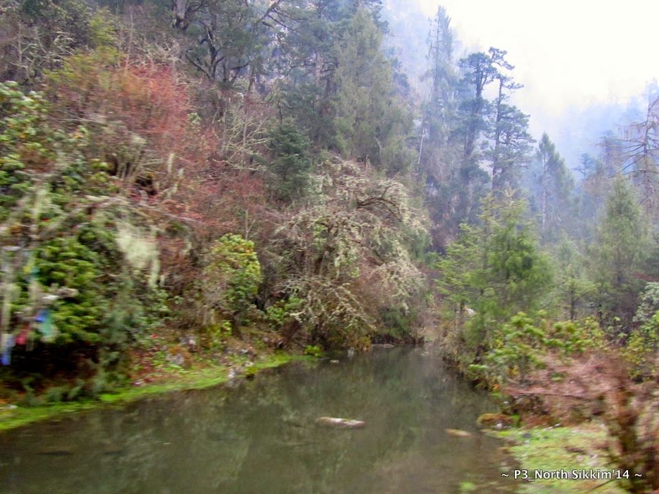 Photo of Sikkim- Greens, White & Gravel Beauty 66/70 by Preeti