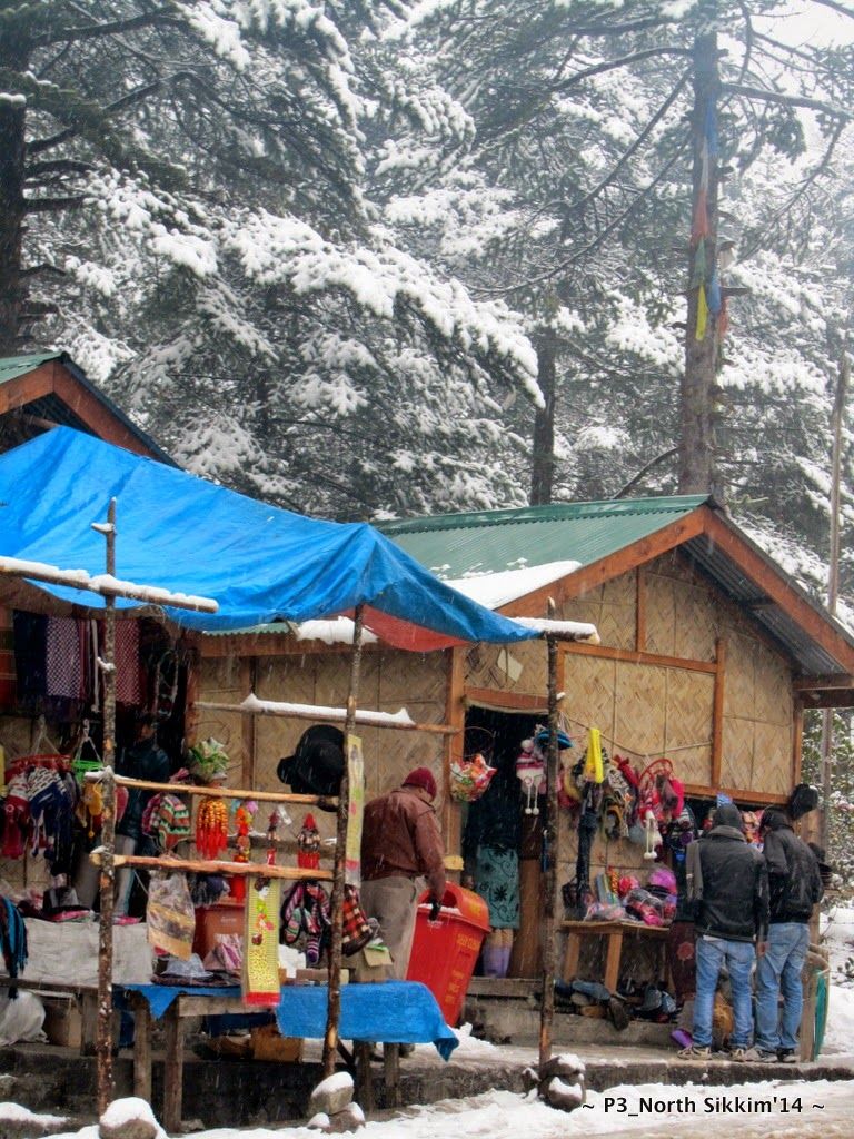 Photo of Sikkim- Greens, White & Gravel Beauty 68/70 by Preeti