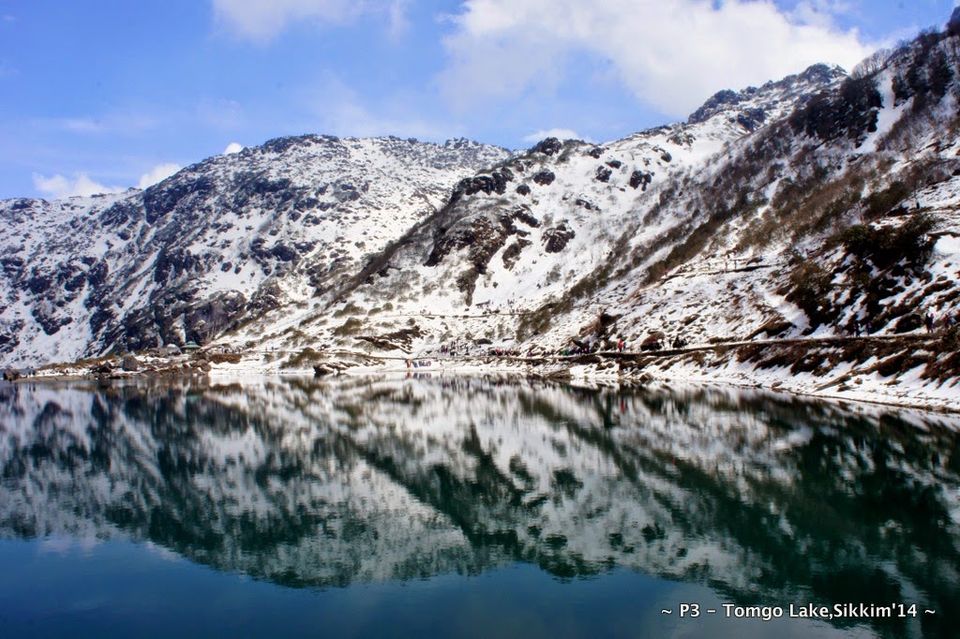 Photo of Sikkim- Greens, White & Gravel Beauty 15/70 by Preeti