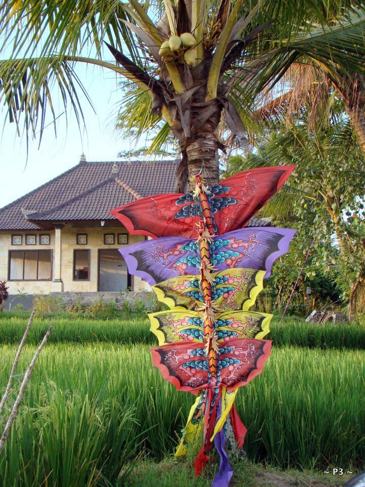 Photo of 6 days in Bali, Indonesia – Arts, culture, peace!! 13/16 by Preeti