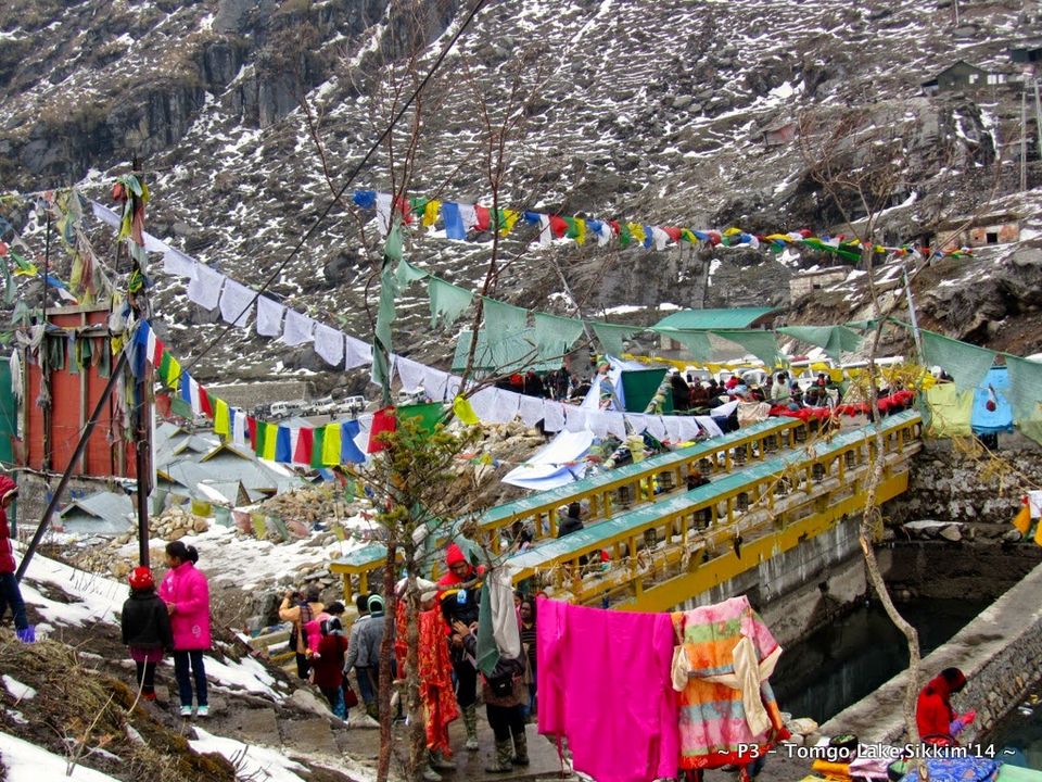 Photo of Sikkim- Greens, White & Gravel Beauty 24/70 by Preeti