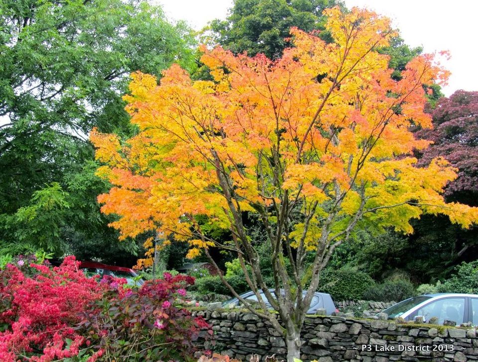 Photo of U.K - # Lake District - The beautiful U.K countryside 20/22 by Preeti