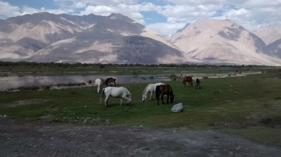 Photo of Seven Exciting Days in The Land of the High Passes 5/17 by Anshumaan Goel