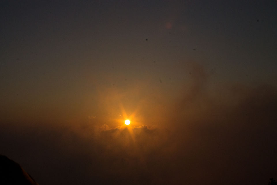 Photo of From Darjeeling With Love by Shubhanjana Das