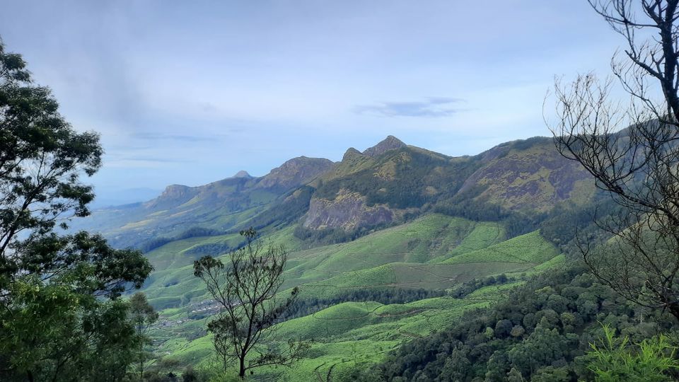 Photo of Kerala Chronicles! by Gargi Mitra