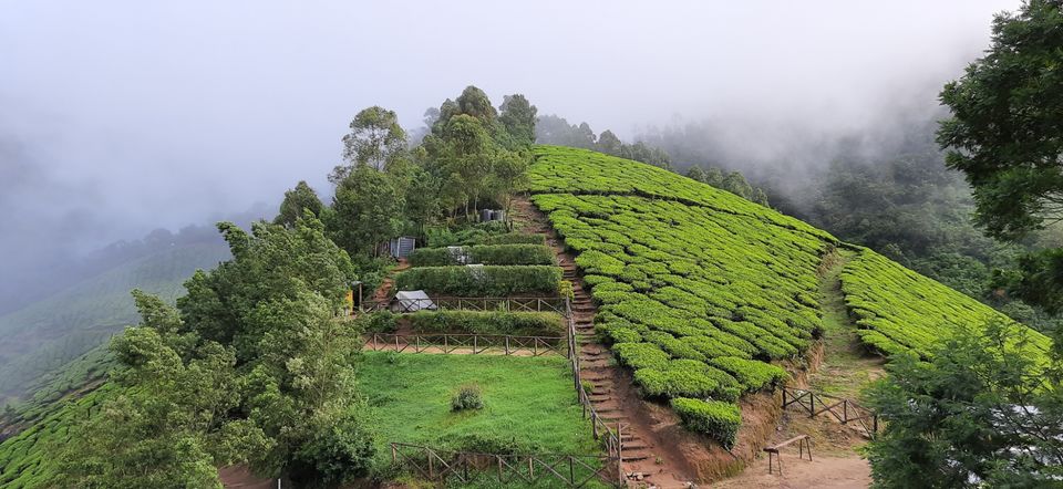Photo of Kerala Chronicles! by Gargi Mitra