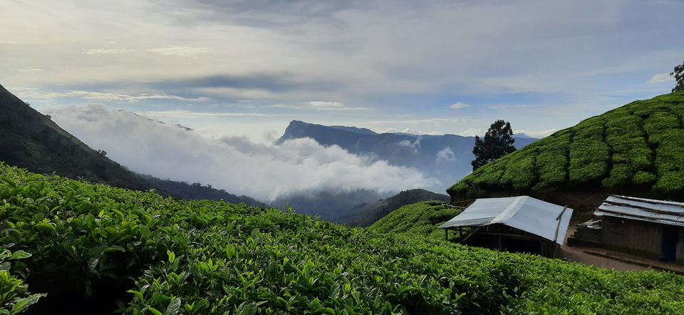 Photo of Kerala Chronicles! by Gargi Mitra
