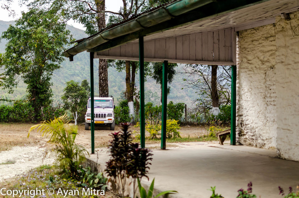 Photo of A Soothing Sojourn in the Tea Estate of Selim Hill! by Gargi Mitra