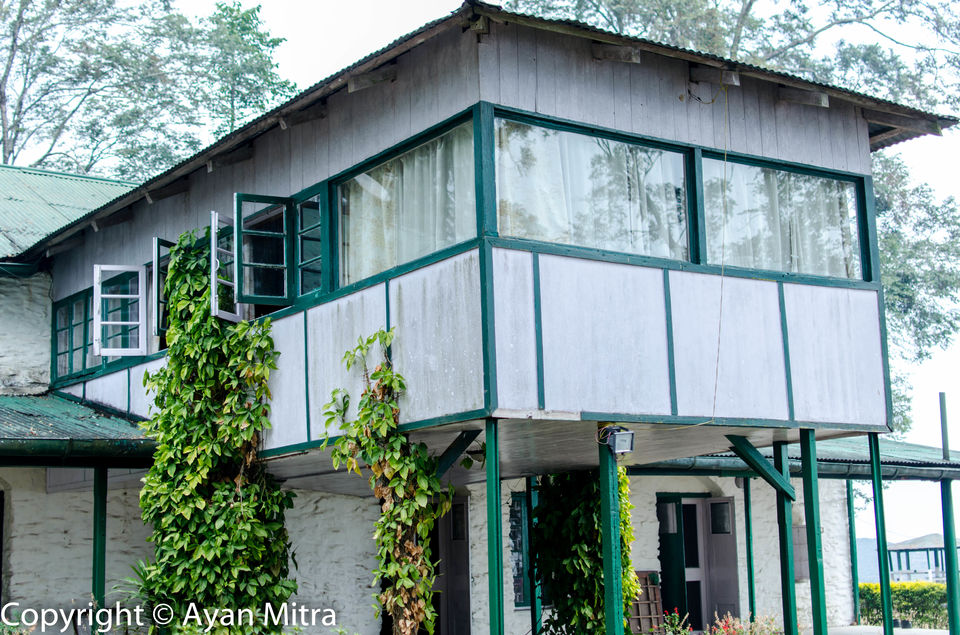 Photo of A Soothing Sojourn in the Tea Estate of Selim Hill! by Gargi Mitra