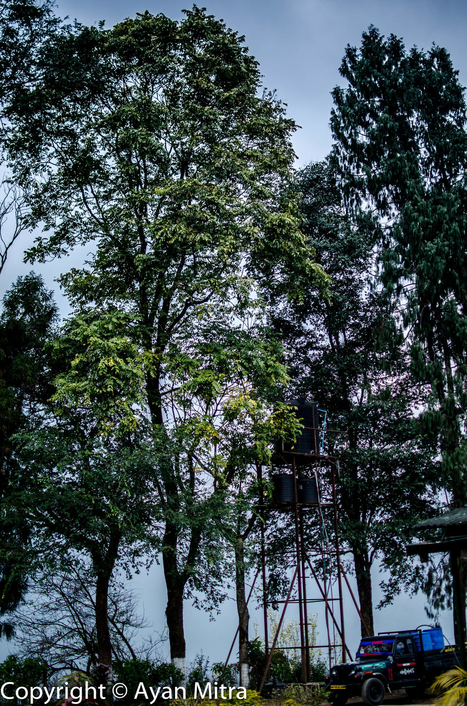 Photo of A Soothing Sojourn in the Tea Estate of Selim Hill! by Gargi Mitra