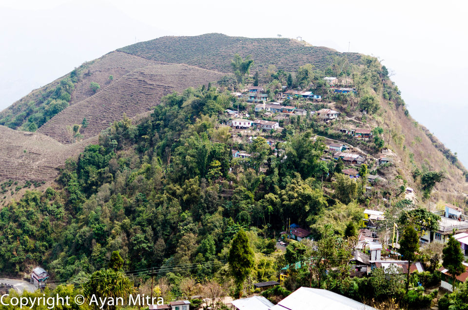 Photo of A Soothing Sojourn in the Tea Estate of Selim Hill! by Gargi Mitra