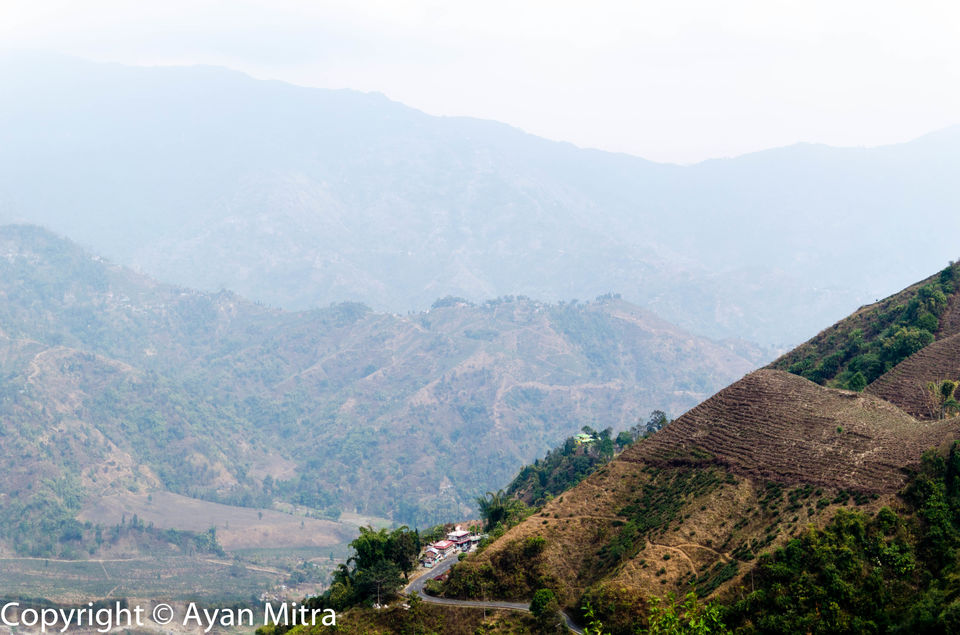 Photo of A Soothing Sojourn in the Tea Estate of Selim Hill! by Gargi Mitra