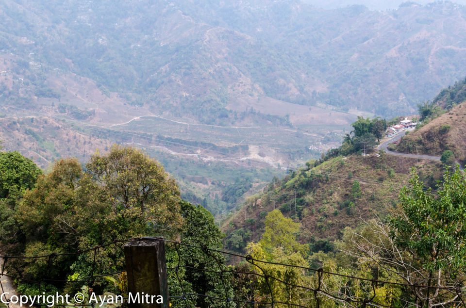 Photo of A Soothing Sojourn in the Tea Estate of Selim Hill! by Gargi Mitra