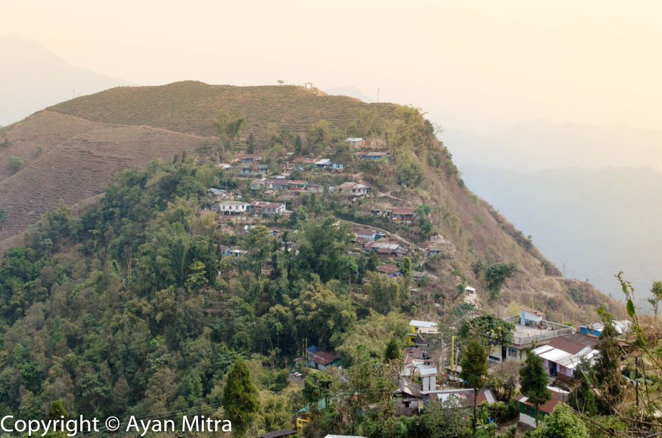 Photo of A Soothing Sojourn in the Tea Estate of Selim Hill! by Gargi Mitra