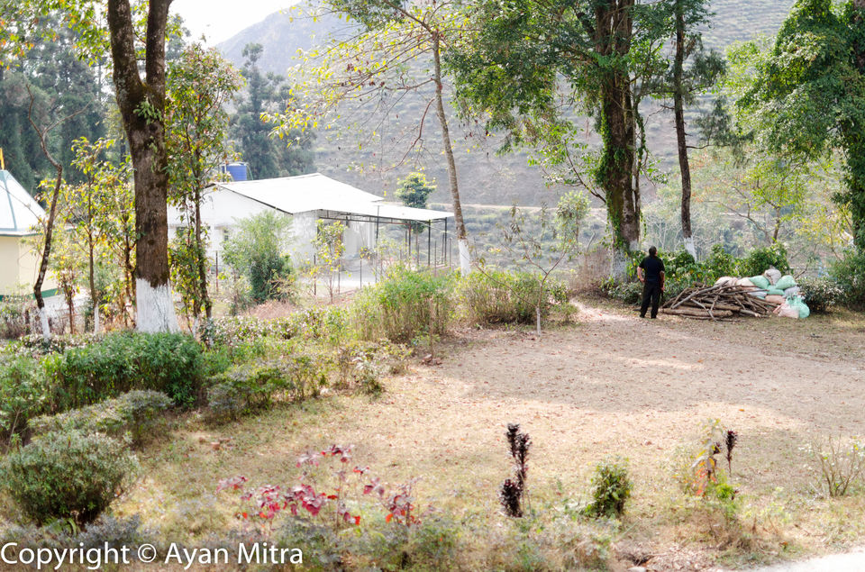Photo of A Soothing Sojourn in the Tea Estate of Selim Hill! by Gargi Mitra