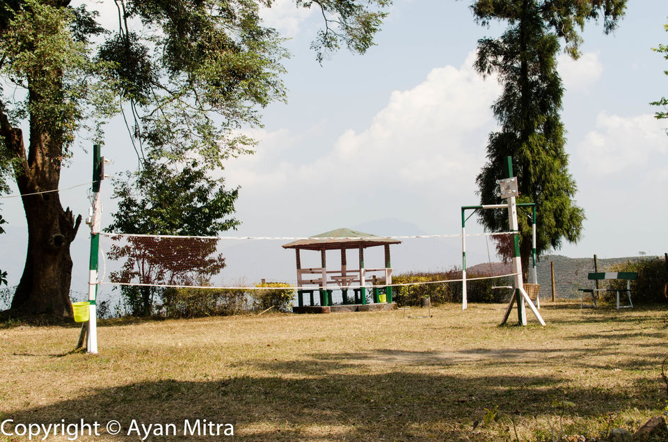 Photo of A Soothing Sojourn in the Tea Estate of Selim Hill! by Gargi Mitra