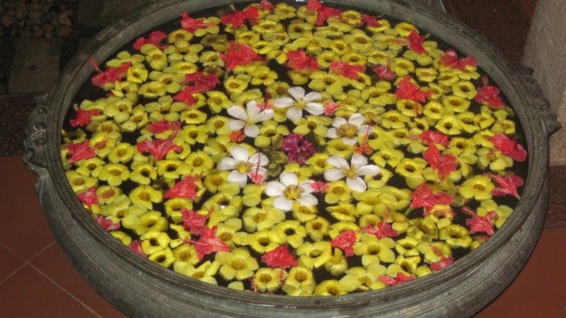 Photo of 'God's own Country (Kerala)- a journey gone but not forgotten!' 3/35 by Gargi Mitra
