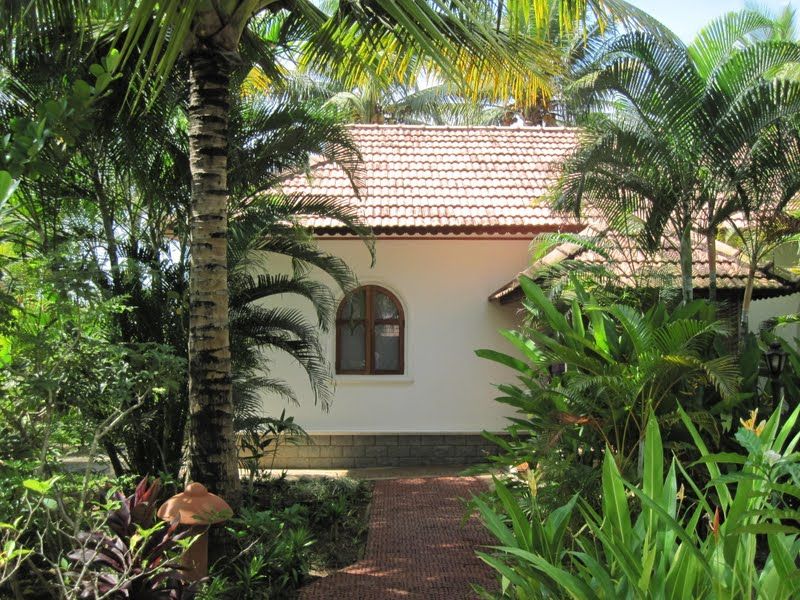 Photo of 'God's own Country (Kerala)- a journey gone but not forgotten!' 5/35 by Gargi Mitra