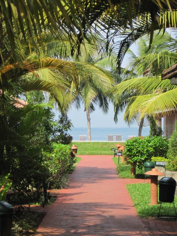 Photo of 'God's own Country (Kerala)- a journey gone but not forgotten!' 9/35 by Gargi Mitra