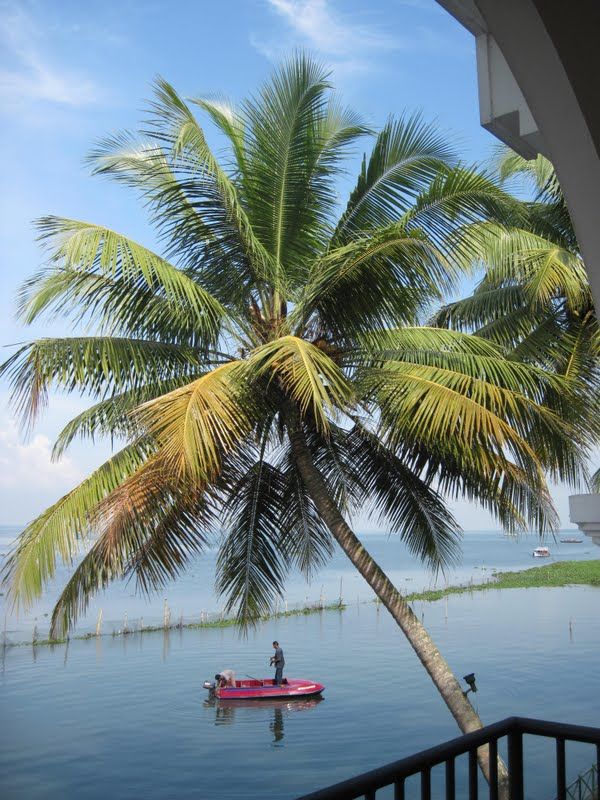 Photo of 'God's own Country (Kerala)- a journey gone but not forgotten!' 10/35 by Gargi Mitra
