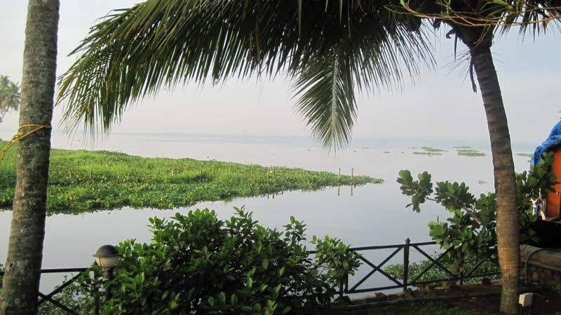 Photo of 'God's own Country (Kerala)- a journey gone but not forgotten!' 11/35 by Gargi Mitra