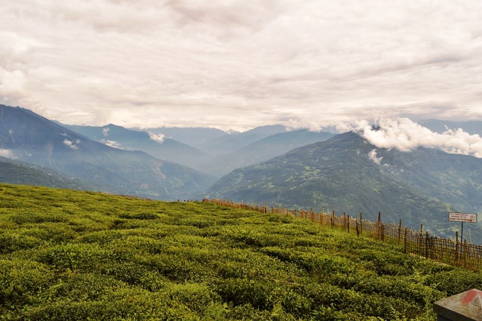 Photo of Backpack to Serene Sikkim by Rohith T V