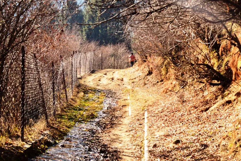 Photo of Auli Laga Joshimath, Uttarakhand, India by Rohith T V