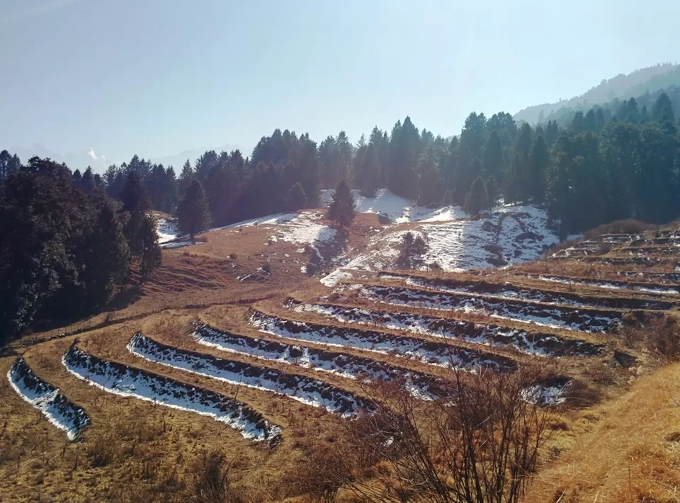 Photo of Auli Laga Joshimath, Uttarakhand, India by Rohith T V