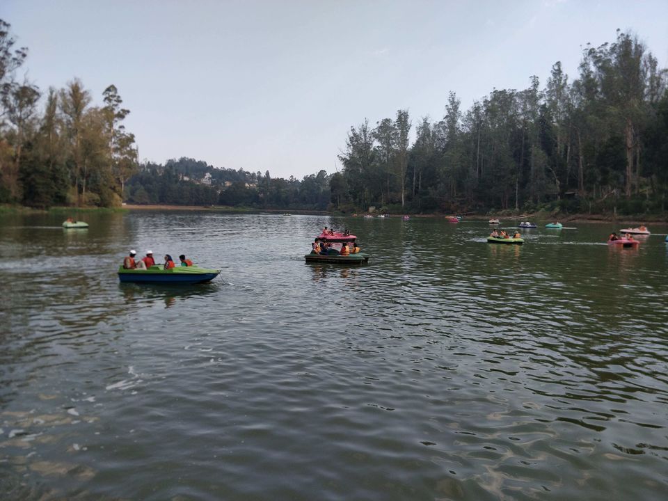 Photo of Ooty Lake, West Mere, Ooty, Tamil Nadu by Rohith T V