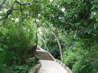 Photo of Day trip from Bengaluru to Mudhena Halli & Nandi Hills 4/7 by R Rao