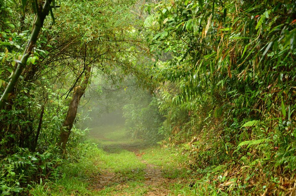 Photo of In Love with Andaman by Ritu Singh