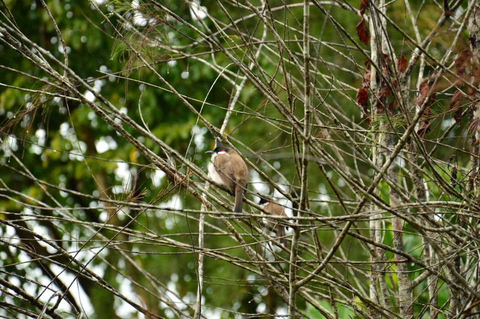 Photo of In Love with Andaman by Ritu Singh