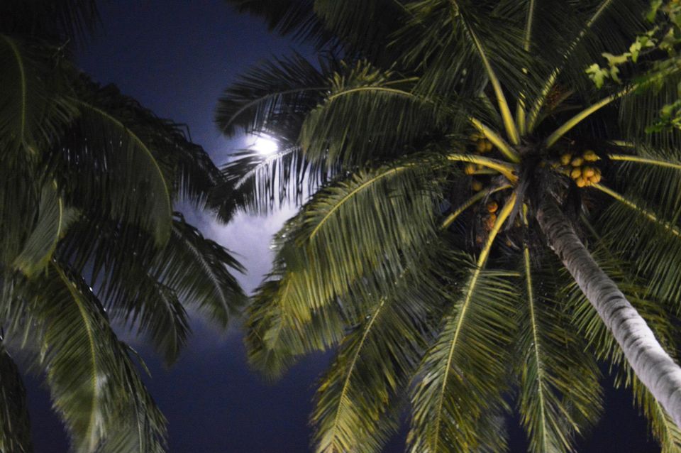 Photo of In Love with Andaman by Ritu Singh