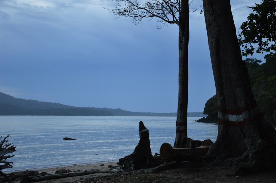 Photo of In Love with Andaman by Ritu Singh
