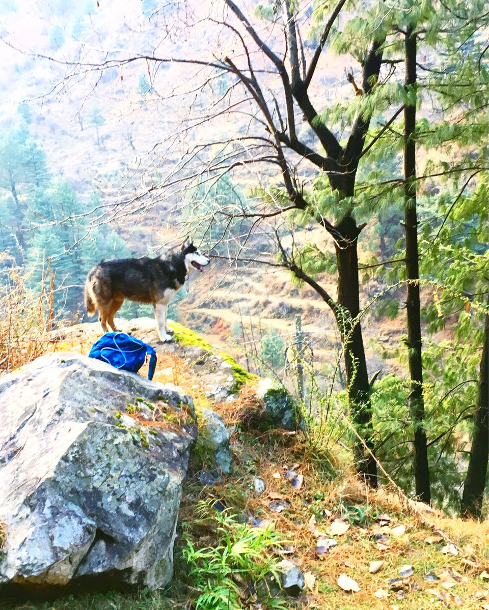Photo of Travelling Solo: A Glimpse Of Solo Traveller’s Experience! by Jayant Rao