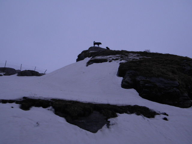 Photo of A trip to old silk route 3/22 by Debasis Mallick