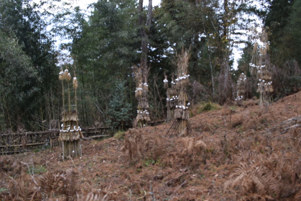 Photo of Arunachal Pradesh-The Untold Story 23/26 by Debasis Mallick