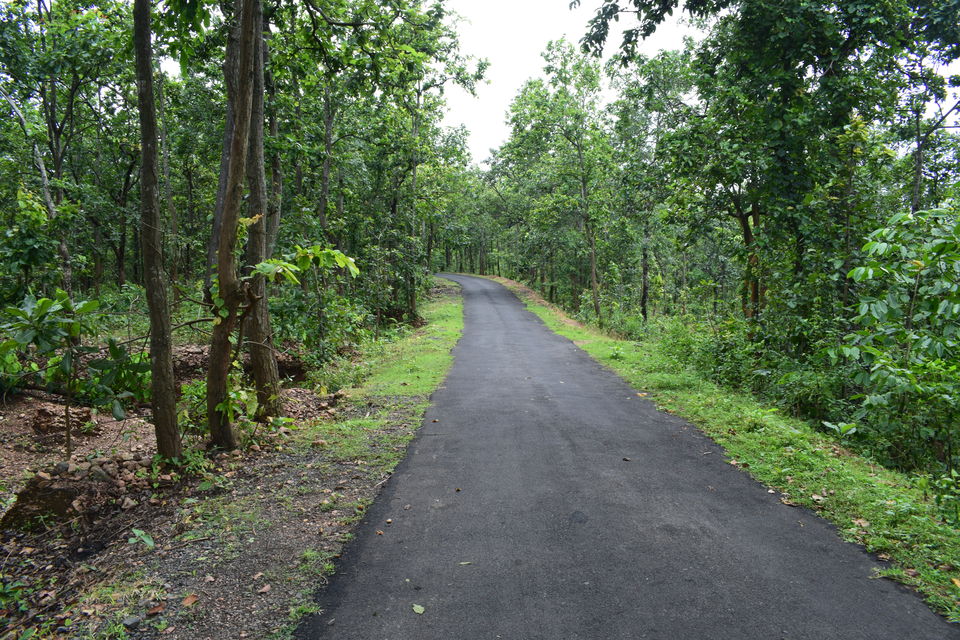 Photo of Travel to Mukutmanipur and Jhilimili on Weekend - You Would Love it 9/14 by Debasis Mallick
