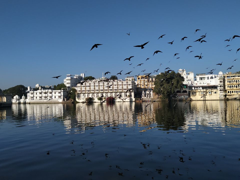 Photo of Gangaur Ghat, Pichola, Udaipur, Rajasthan, India by Christopher D'costa