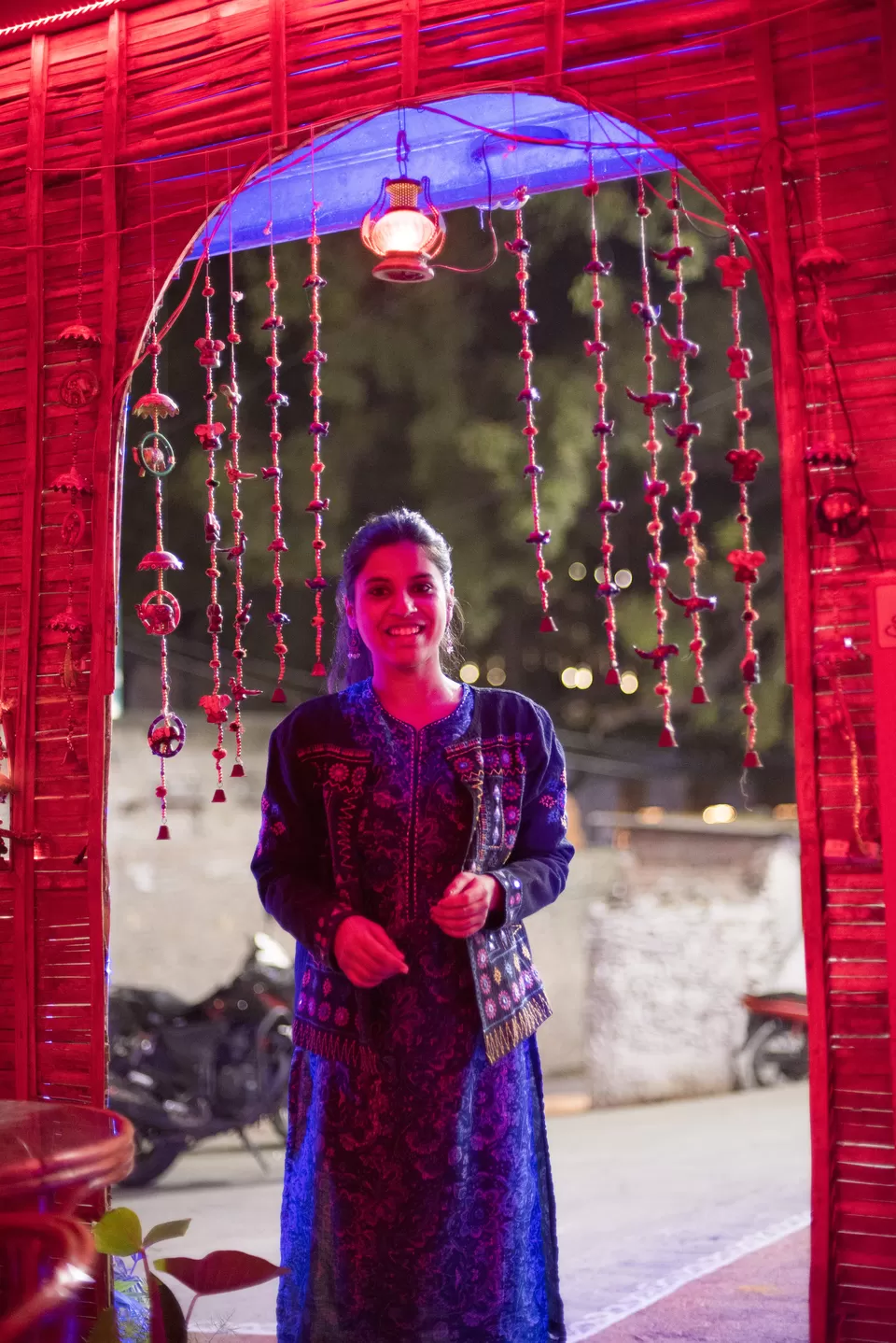 Photo of The Unplanned Udaipur Trip by Christopher D'costa
