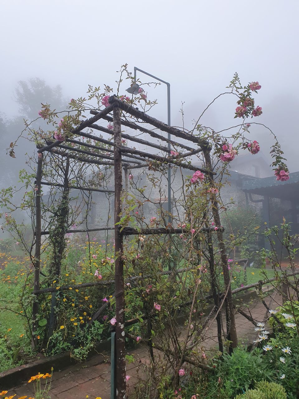 Photo of SaffronStays Kurinji Estate, Kodaikanal, Kurinji Temple Road, Kodaikanal, Tamil Nadu, India by Christopher D'costa