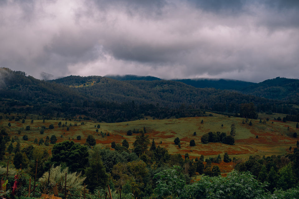 Photo of Kodaikanal - The Princess of Hill stations 2/4 by Christopher D'costa