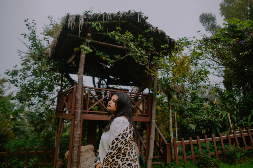 Photo of Kodaikanal - The Princess of Hill stations by Christopher D'costa
